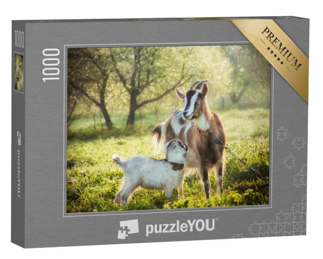 Puzzle 1000 Teile „Ziege mit einem Ziegenbaby“