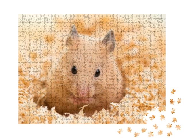 Puzzle 1000 Teile „Goldhamster auf Holzspänen“