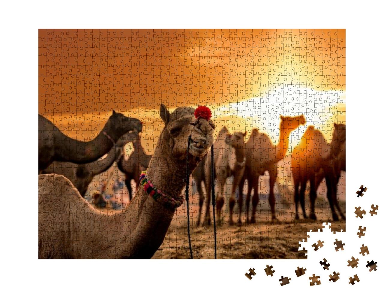 Puzzle 1000 Teile „Pushkar-Kamel-Messe in der Stadt Pushkar, Indien“
