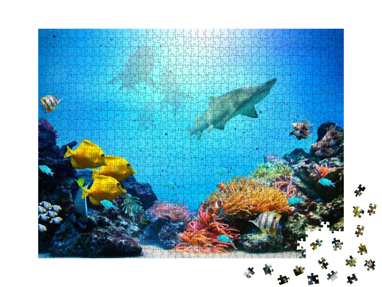 Puzzle 1000 Teile „Korallenriff mit einer bunten Fischgruppe und Haien“