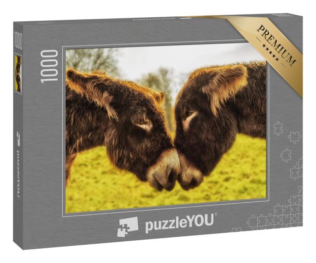 Puzzle 1000 Teile „Eselspaar schaut sich in die Augen“