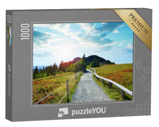 Puzzle 1000 Teile „Herbstlandschaft im Nationalpark Bayerischer Wald, Deutschland“