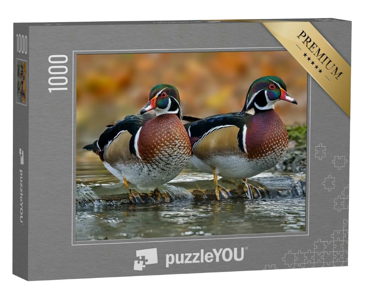 Puzzle 1000 Teile „Holzente oder Carolina-Ente “