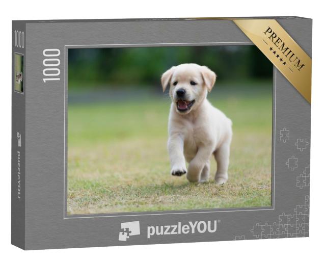 Puzzle 1000 Teile „Spielender Hundewelpe“