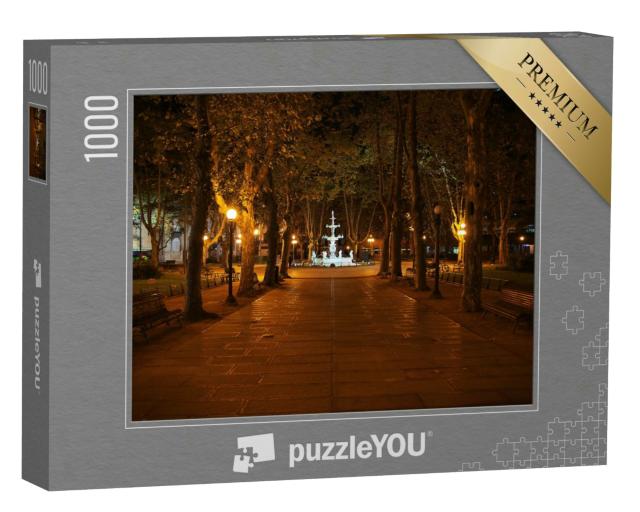 Puzzle 1000 Teile „Der Springbrunnen von Montevideo, Uruguay“
