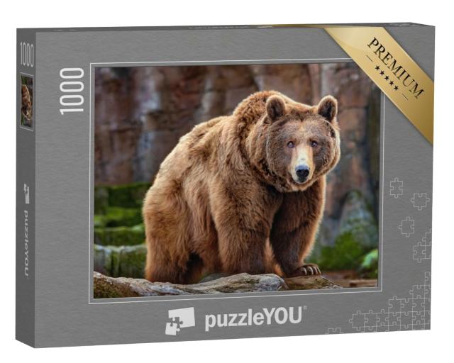 Puzzle 1000 Teile „Ein großer Braunbär“