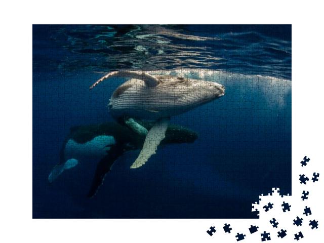 Puzzle 1000 Teile „Buckelwal und Baby beim Schwimmen direkt unter der Wasseroberfläche“