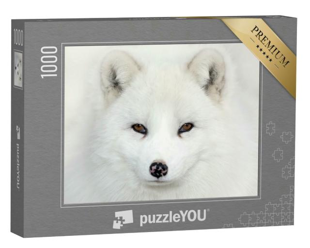 Puzzle 1000 Teile „Auge in Auge mit einem Polarfuchs“