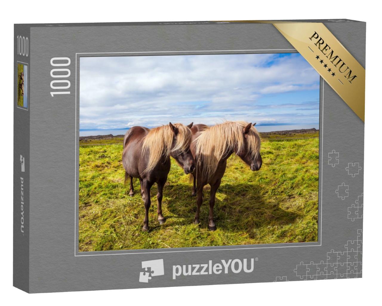 Puzzle 1000 Teile „Island-Pferde in der sommerlichen Thundra von Island“