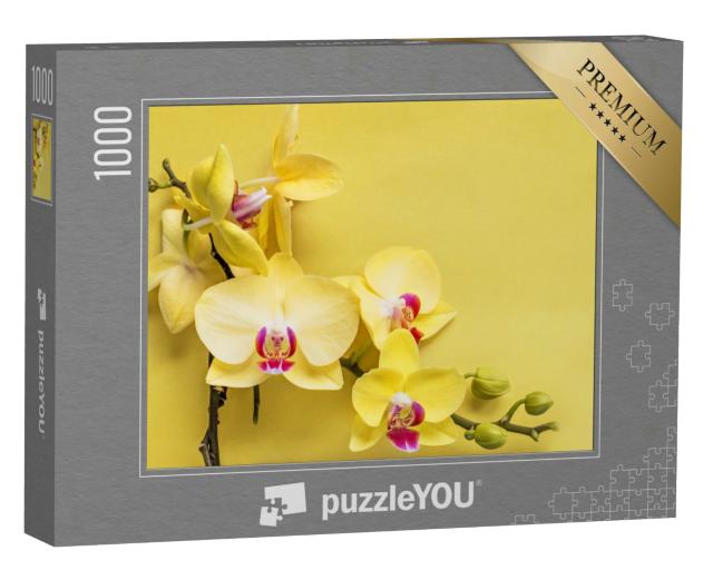 Puzzle 1000 Teile „Zweig einer blühenden gelben Orchidee“