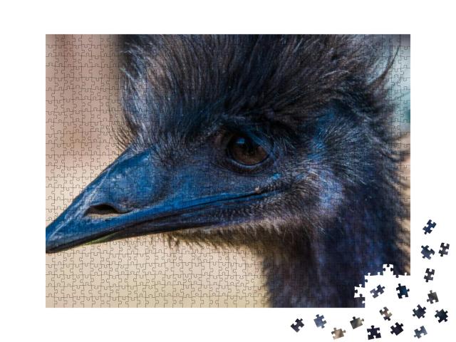 Puzzle 1000 Teile „Emu im Profil“