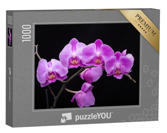 Puzzle 1000 Teile „Orchideenblüte“