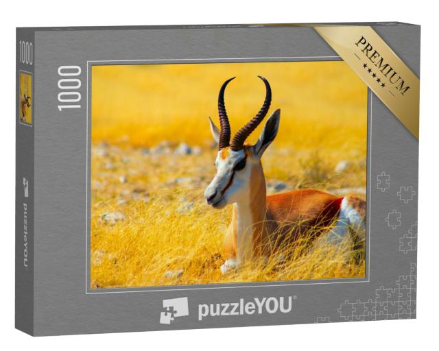 Puzzle 1000 Teile „Mittelgroße Antilope: Springbock im hohen Gras, Etosha-Nationalpark, Namibia“