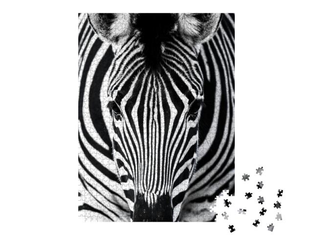 Puzzle 1000 Teile „Nahaufnahme eines Zebras “