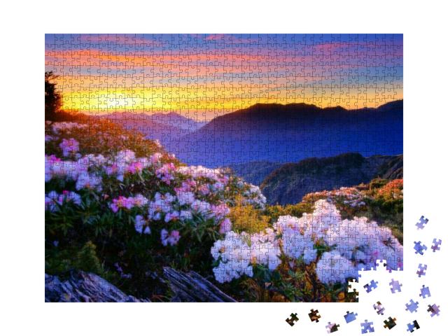 Puzzle 1000 Teile „Azaleen blühen im Frühling am Hehuan Mountain, Taiwan, Asien“