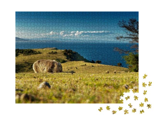 Puzzle 1000 Teile „Ein Wombat sucht Nahrung “