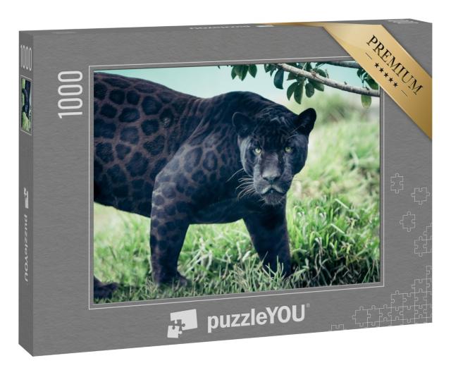 Puzzle 1000 Teile „Schwarzer Panther“