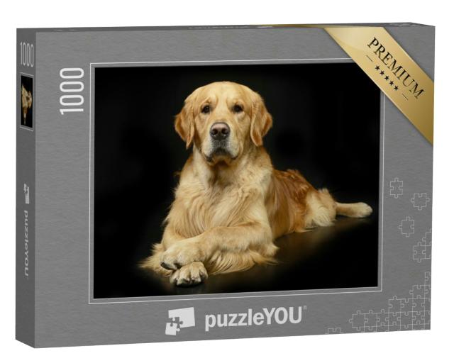 Puzzle 1000 Teile „Golden Retriever in perfekter Foto-Pose“
