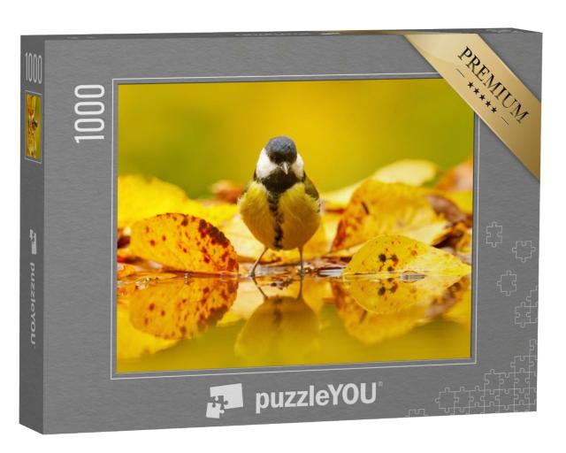 Puzzle 1000 Teile „Kleine Kohlmeise im Herbstlaub“