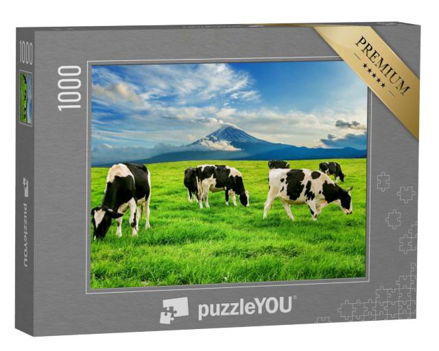 Puzzle 1000 Teile „Kühe fressen saftiges Gras auf einer grünen Wiese vor dem Fuji in Japan“