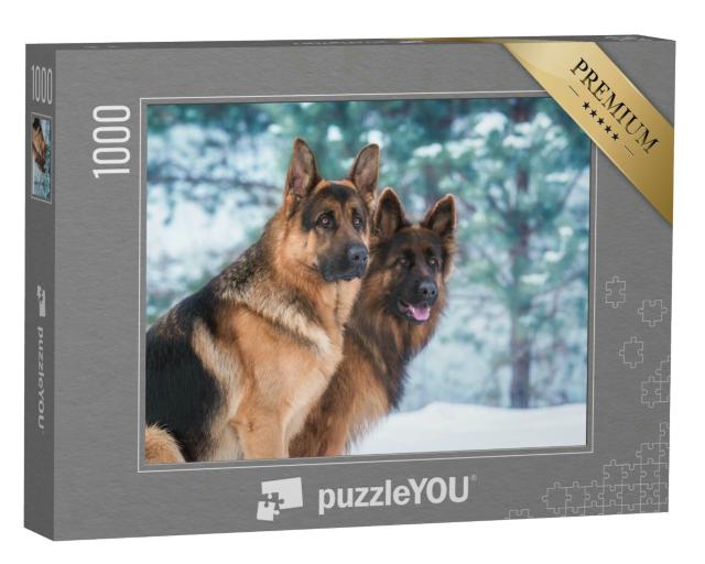 Puzzle 1000 Teile „Porträt von zwei Deutschen Schäferhunden im Winter“