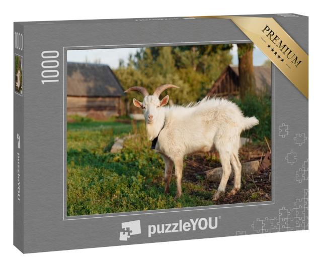 Puzzle 1000 Teile „Weiße Ziege auf dem Bauernhof im Sommer“