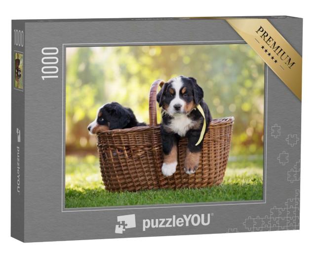 Puzzle 1000 Teile „Berner Sennenhund in einem Korb im Freien“