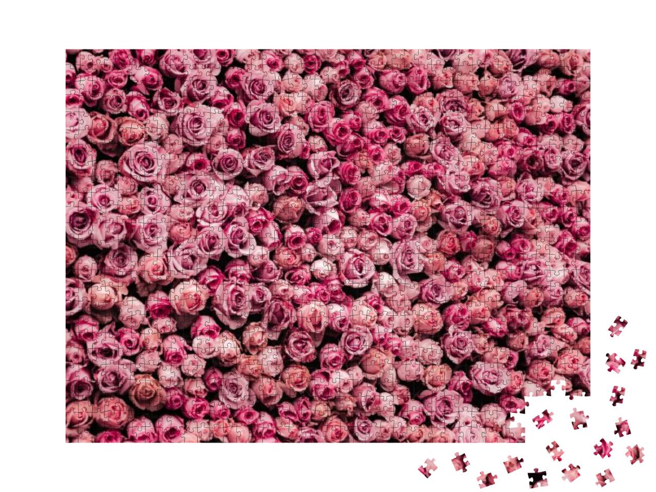 Puzzle 1000 Teile „Ein Blütenmeer von rosa Rosen“