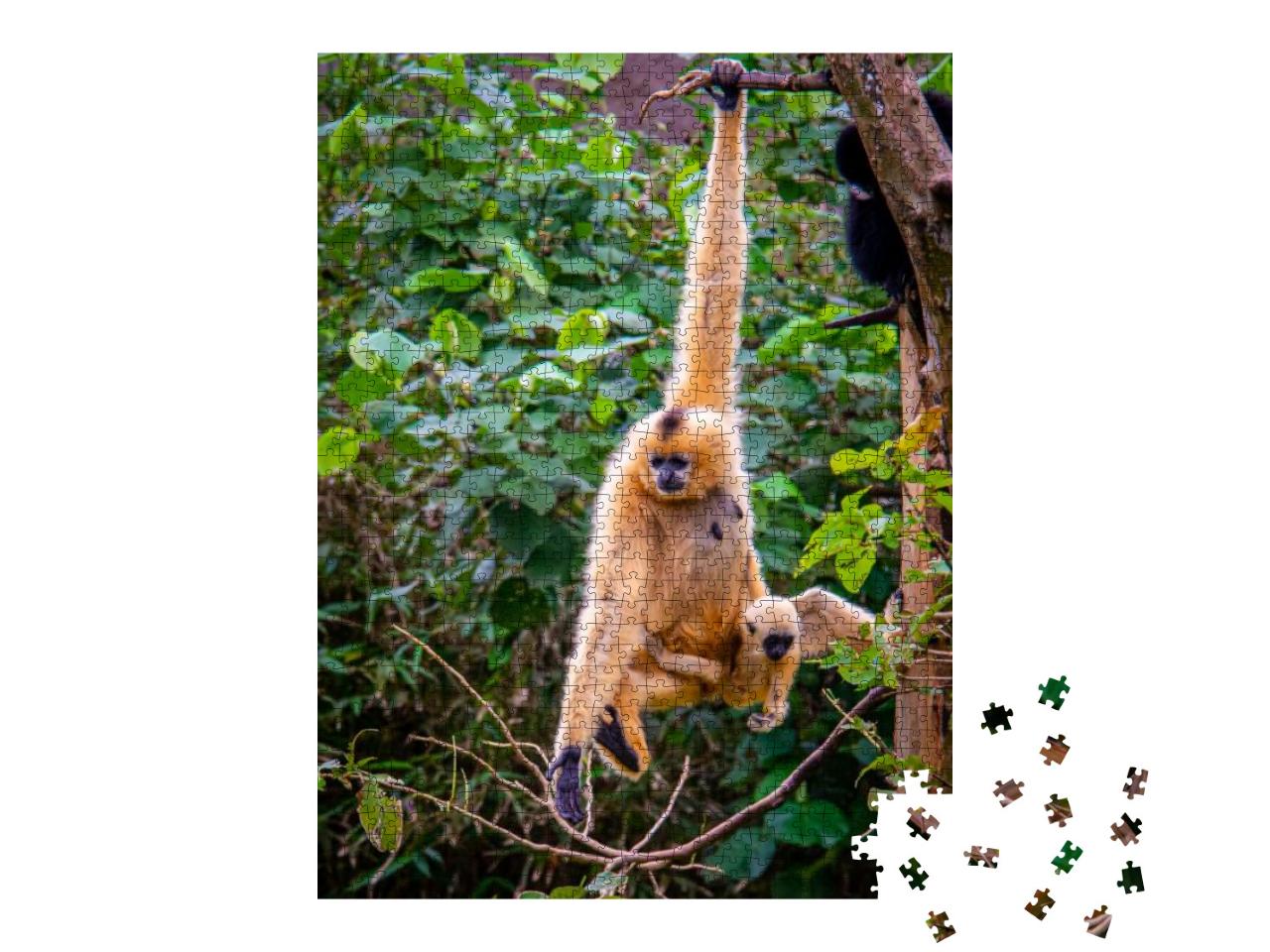 Puzzle 1000 Teile „Affenmutter und Affenbaby im Wald“