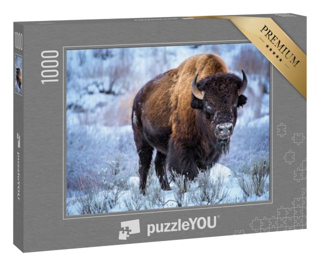 Puzzle 1000 Teile „Amerikanischer Bison im Schnee, Yellowstone-Nationalpark“