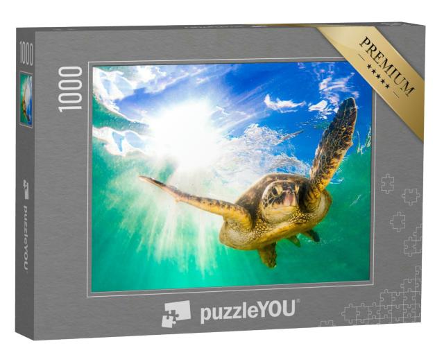 Puzzle 1000 Teile „Grüne Meeresschildkröte im Pazifischen Ozean “