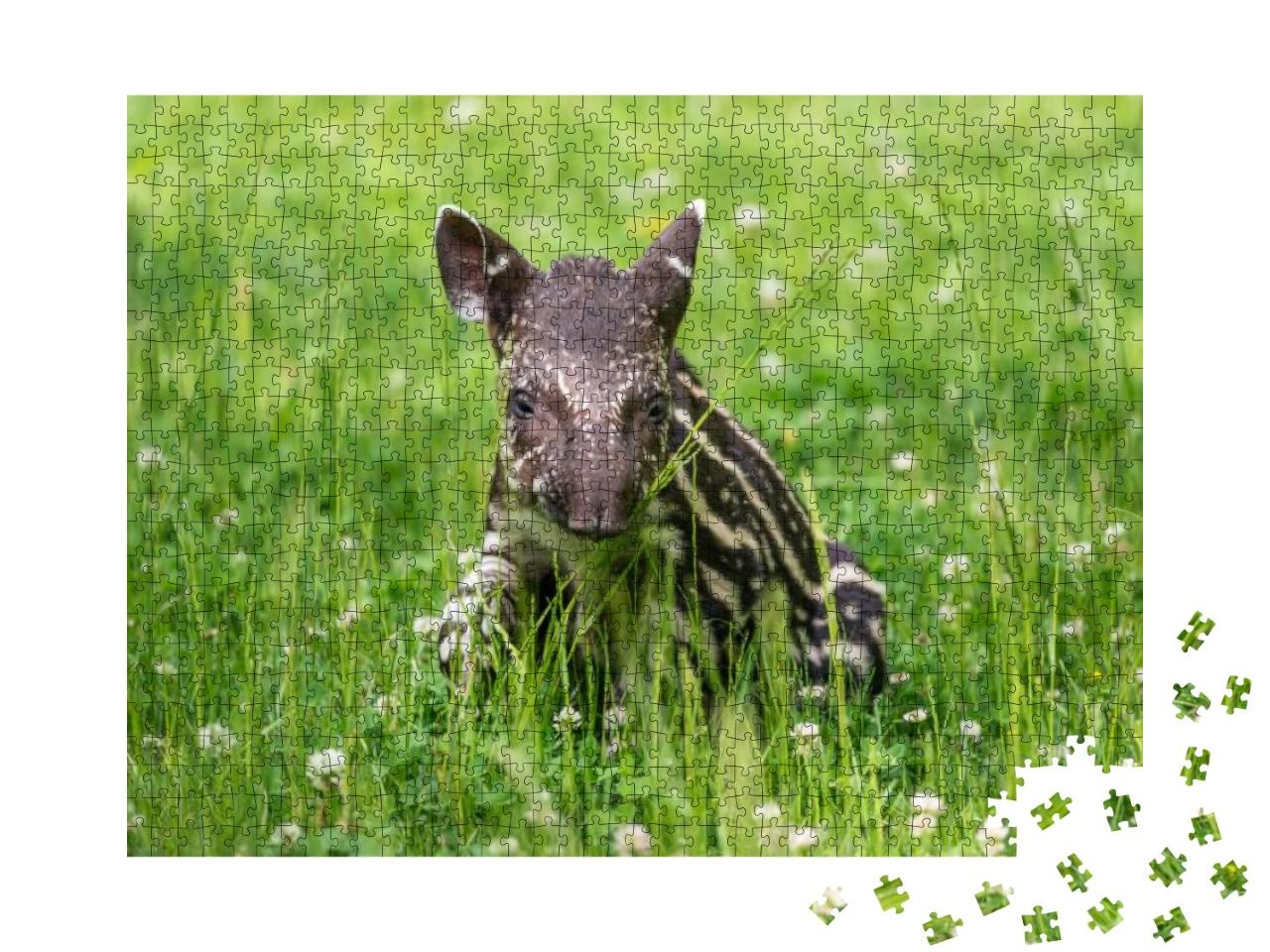 Puzzle 1000 Teile „Baby des vom Aussterben bedrohten Tapirs“