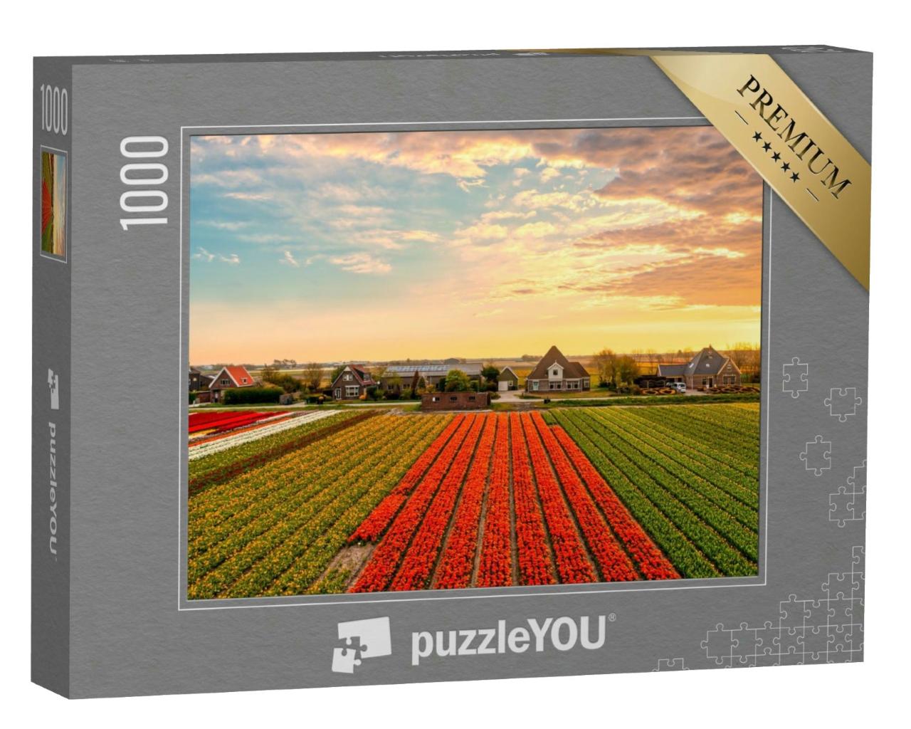 Puzzle 1000 Teile „Tulpenfarm mit Tulpenfeldern bei Sonnenuntergang“