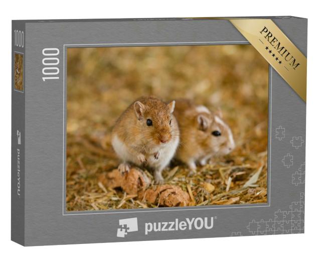 Puzzle 1000 Teile „Zwei Mongolische Rennmäuse“