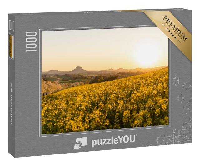 Puzzle 1000 Teile „Schönes Rapsfeld vor der Sächsischen Schweiz, Blick auf Sandsteinberge“