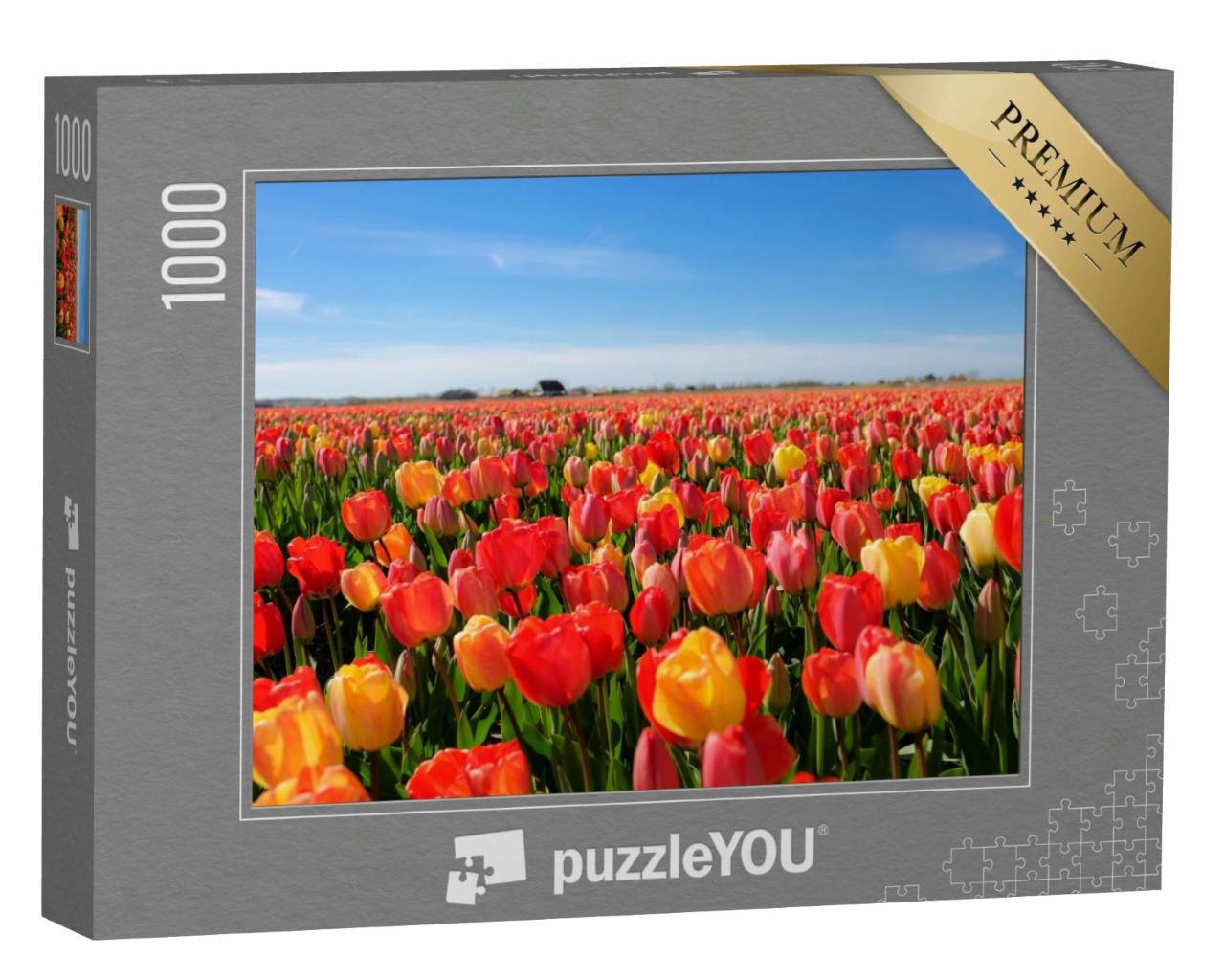 Puzzle 1000 Teile „Tulpenfeld, Niederlande“