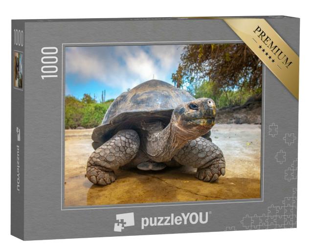 Puzzle 1000 Teile „Galapagos-Schildkröte, Ecuador“
