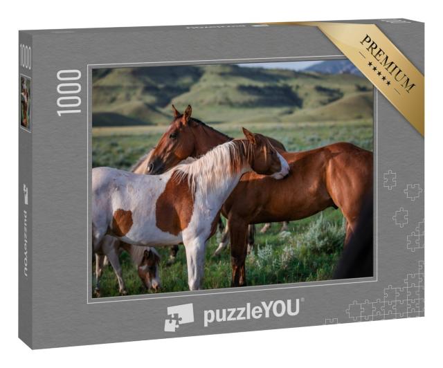 Puzzle 1000 Teile „Paintpony und Ranch-Pferd, Montana, USA“