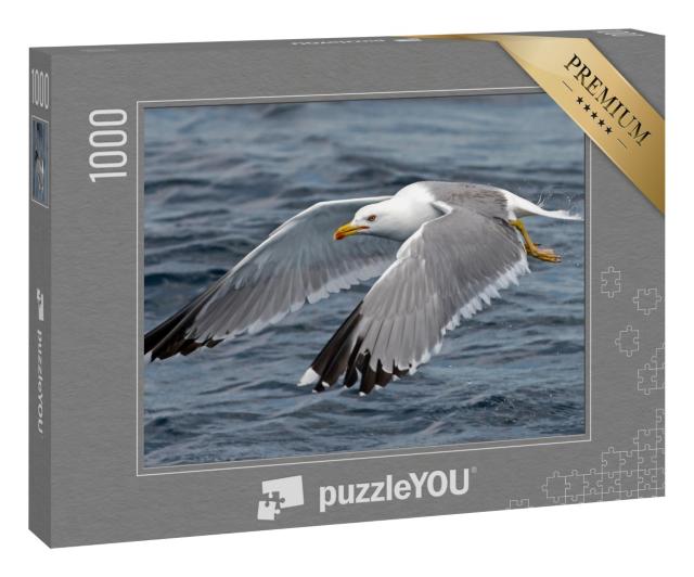 Puzzle 1000 Teile „Eine Möwe im Flug“