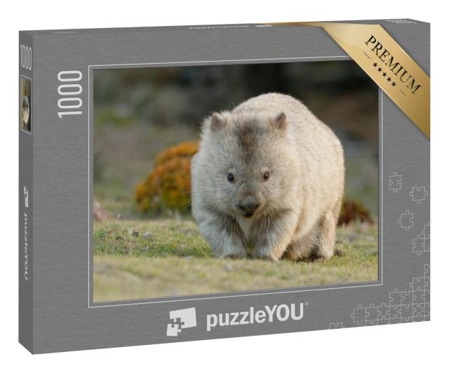 Puzzle 1000 Teile „Australischer Wombat, auch bekannt als Grobhaariger oder Nacktnasenbär“