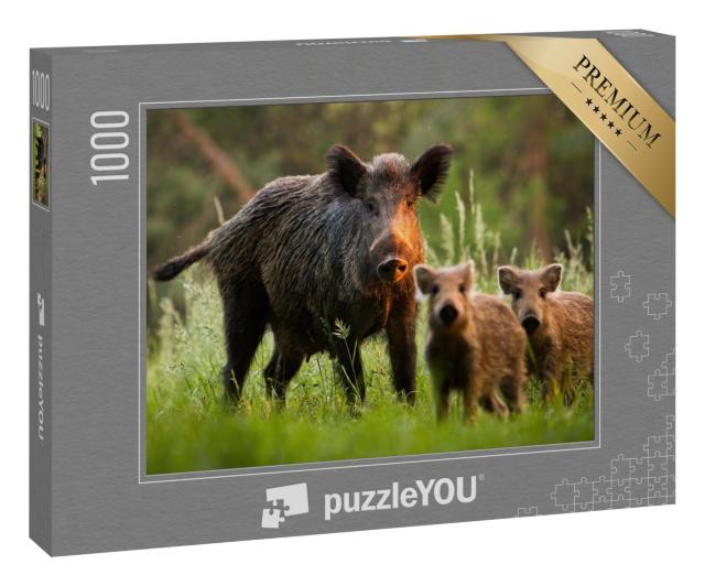 Puzzle 1000 Teile „Familie von Wildschweinen mit jungen Frischlingen “
