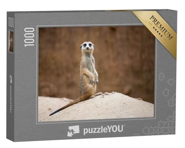Puzzle 1000 Teile „Niedliches Erdmännchen, Suricata suricatta, auf einem Felsen stehend“