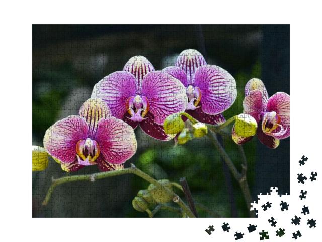 Puzzle 1000 Teile „Orchideenblüte im tropischen Garten“