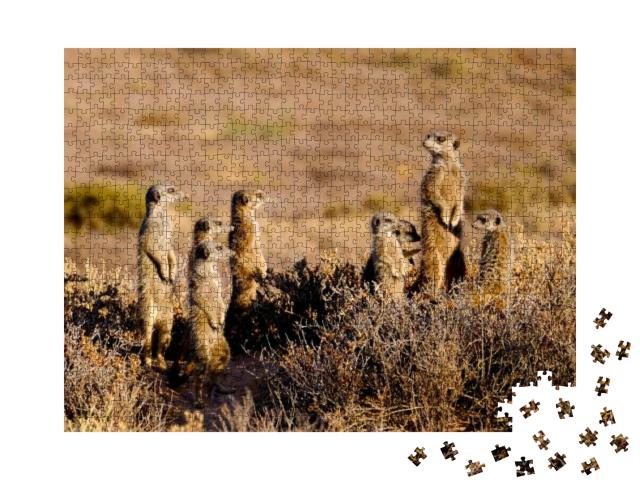 Puzzle 1000 Teile „Eine niedliche Erdmännchen-Familie am frühen Morgen“