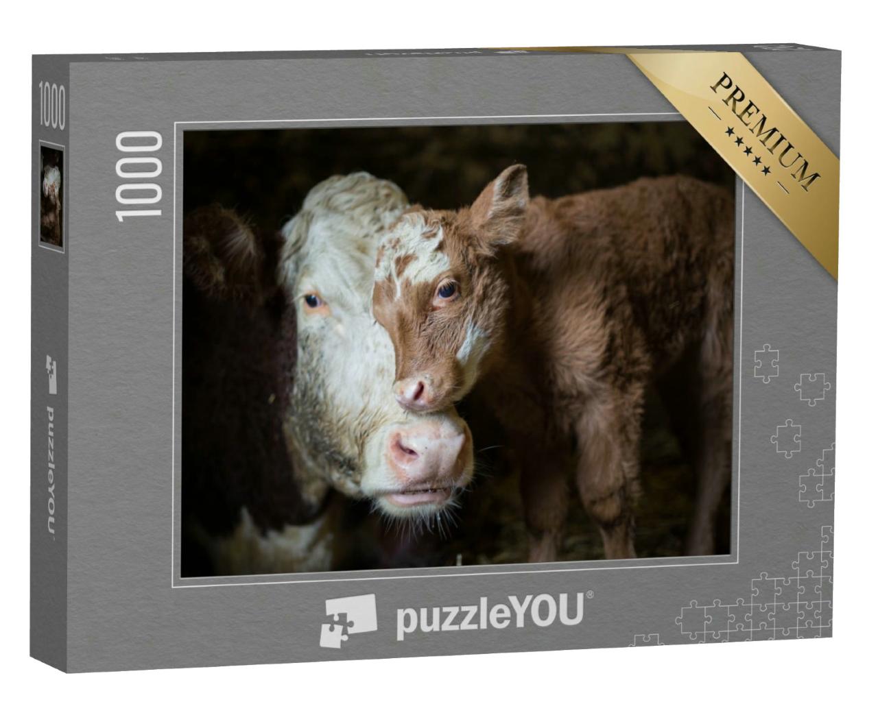 Puzzle 1000 Teile „Kuh und Kalb kuscheln im Stall“