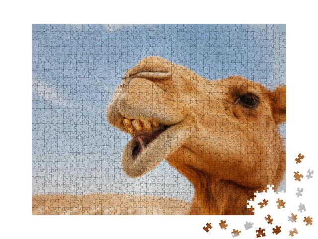 Puzzle 1000 Teile „Lustige Nahaufnahme eines Kamels“