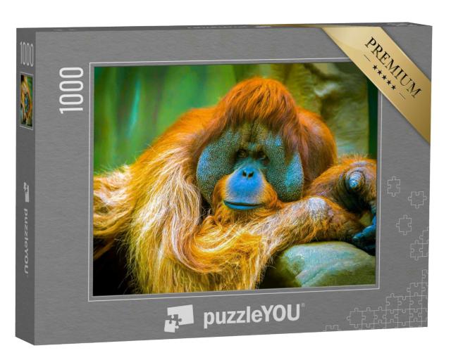 Puzzle 1000 Teile „Der Orang-Utan ist in einer Träumerei“