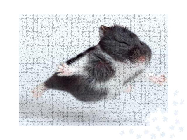 Puzzle 1000 Teile „Lustiger fliegender Hamster“