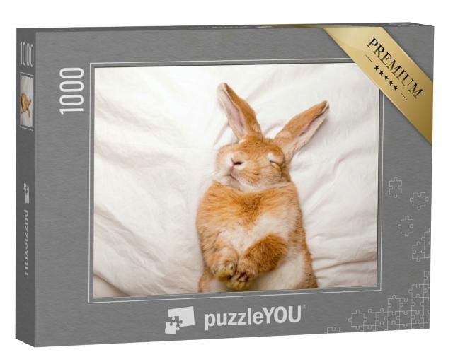 Puzzle 1000 Teile „Träumendes Kaninchen im gemütlichen Schlaf“