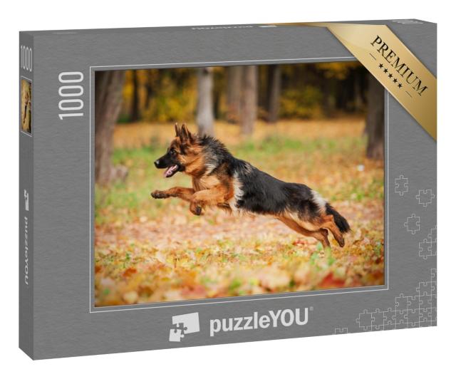 Puzzle 1000 Teile „Deutscher Schäferhund beim Spielen im Herbst“